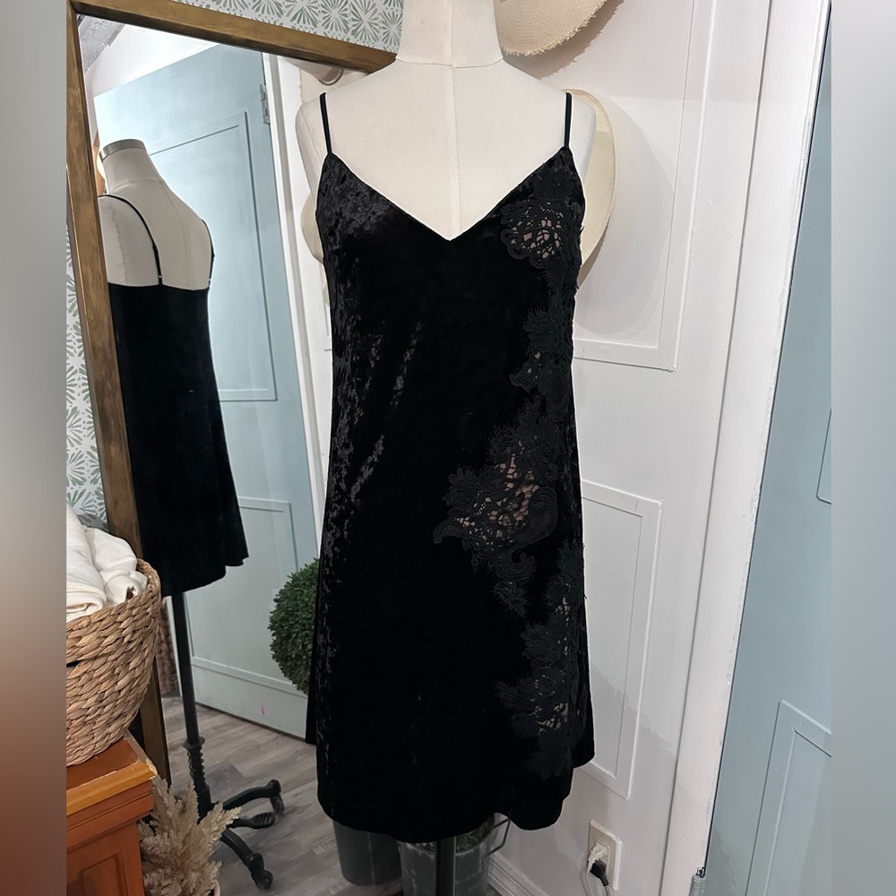 Bailey 44 Velvet Lace Dress - Picture 2 of 10